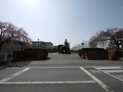 P1150957