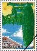 050613-3