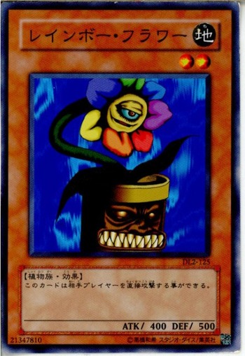 レインボーフラワー