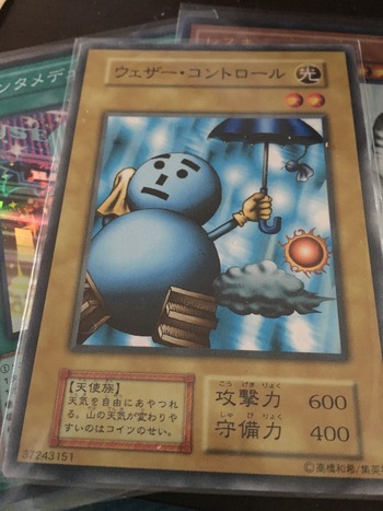 バニラコンプへの道：ついに最終局面-残り10種をきる！！ : 満足とお