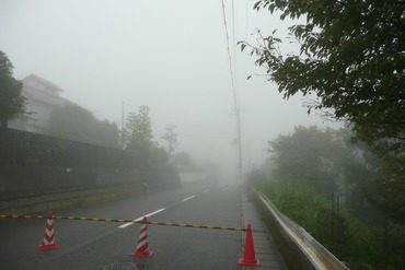1丁目南道路1