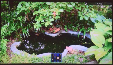 ひょうたん池昼