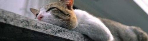 2012y08m22d_221746109