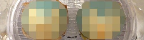 2012y07m03d_153133843