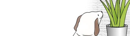 2012y09m05d_225346234