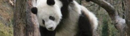 2012y08m20d_193221890