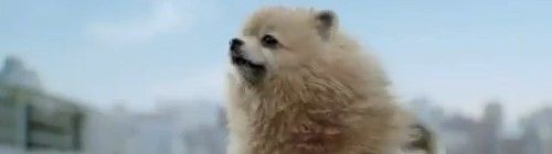 2012y07m07d_014852515