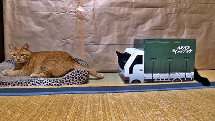 daikiti16 09 01
