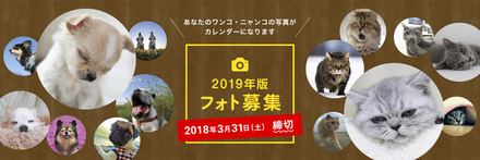 ban18 03 27a