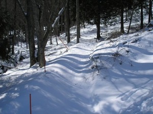 P1290033