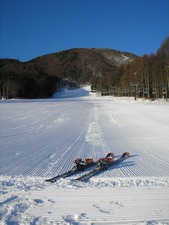 P1290022