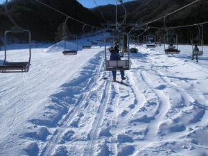 P2040006