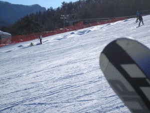 P2040004