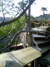 payaka