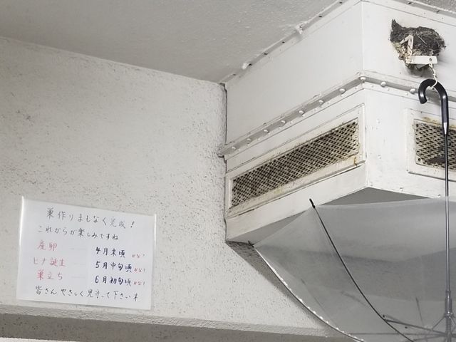 20190505_214014