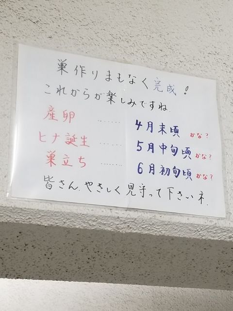 20190505_214022