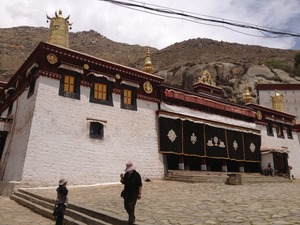 IMG_1237