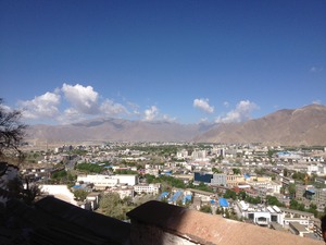 IMG_1134