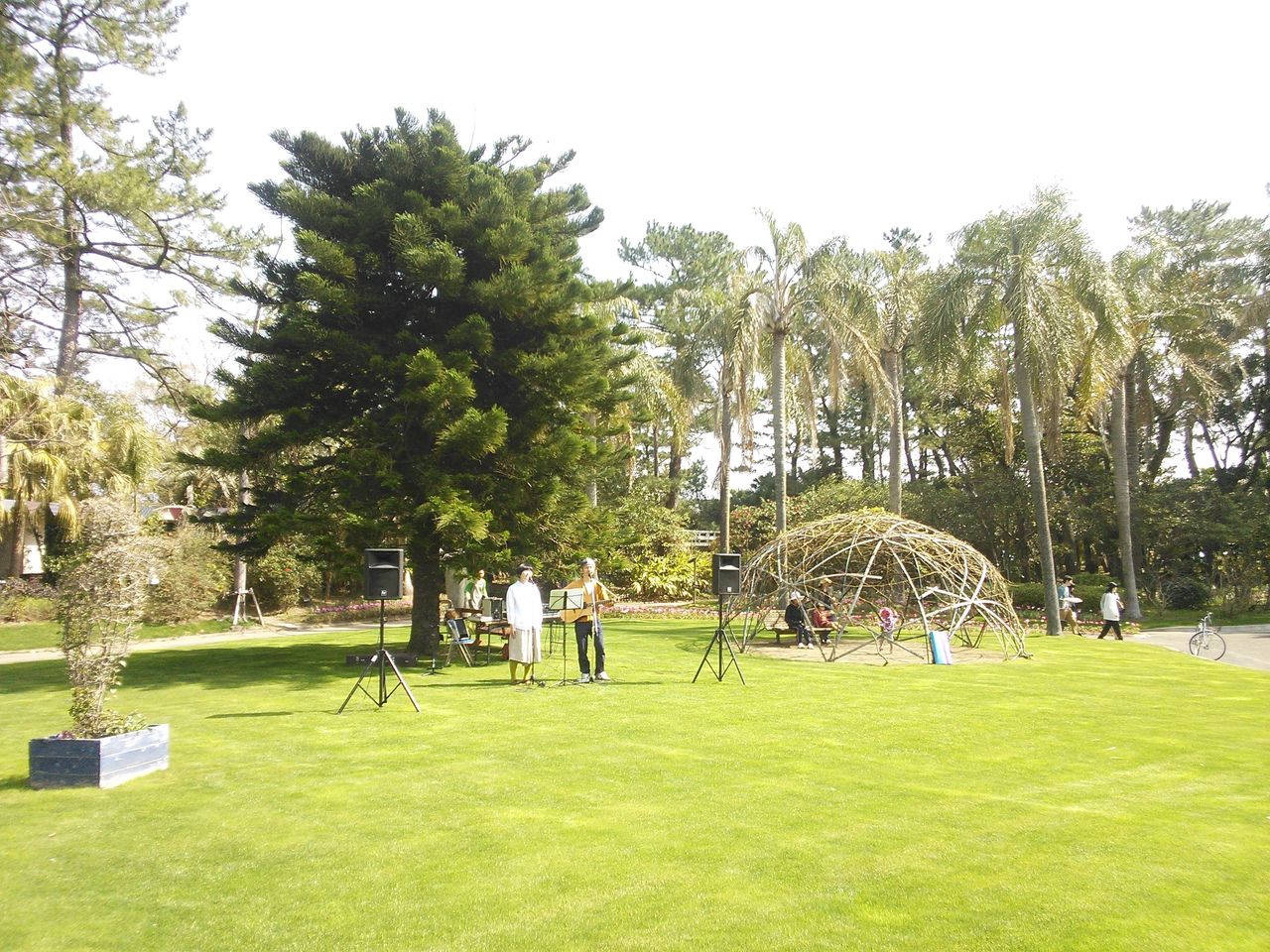 NEC_0088