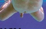 2f184498.jpg
