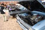 cb379e59.jpg
