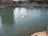 55813440.jpg
