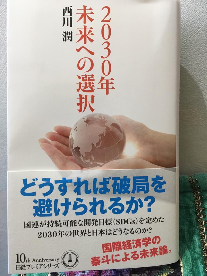 西川潤本 SDGsカバー