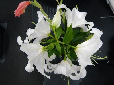 s-DSCN8909