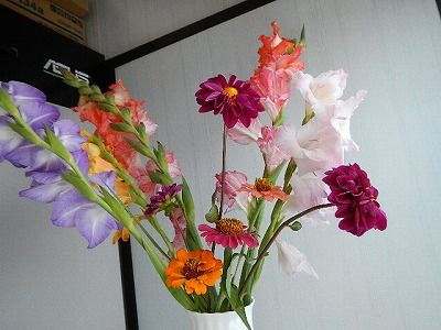 s-DSCN8983