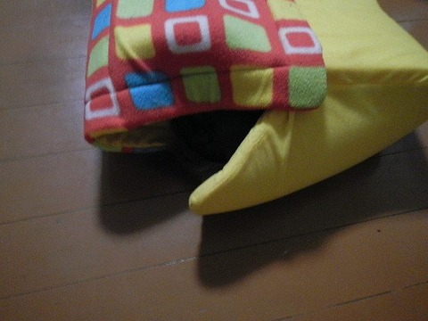 s-DSCN0027