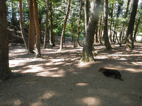 DSCN7092