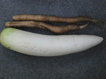 f05036ff.jpg