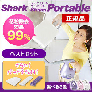 ポータブル