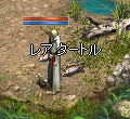 カメ