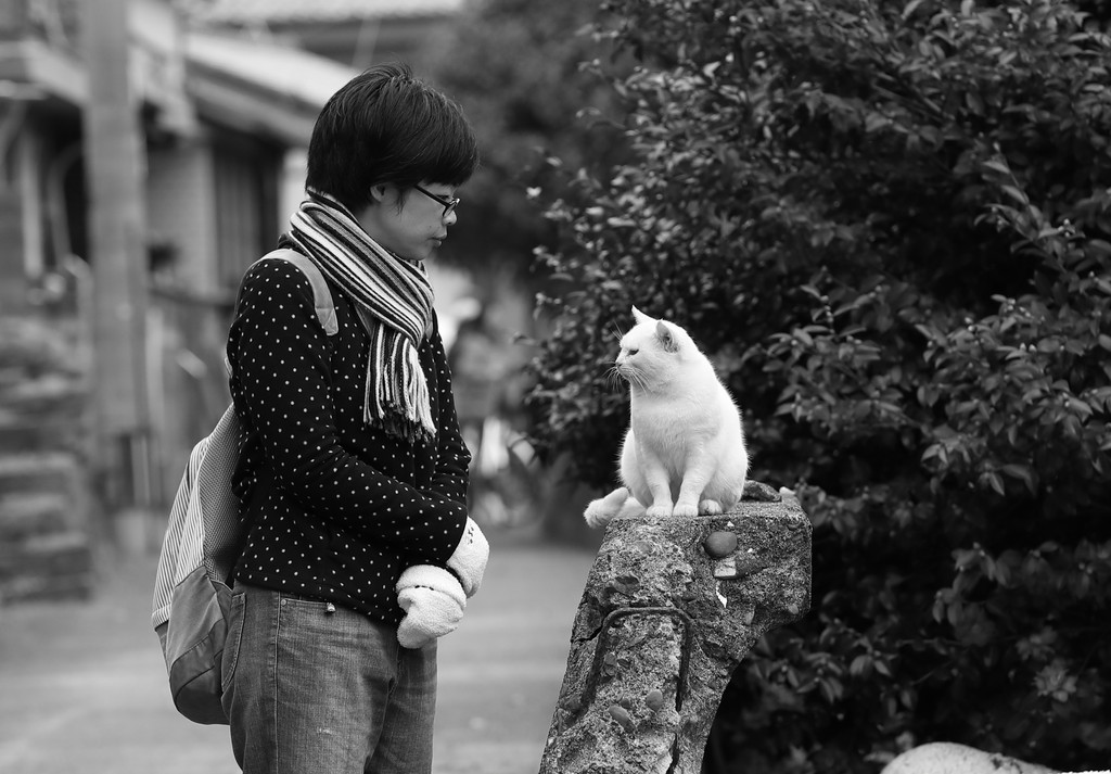 猫と人