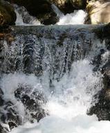 Root Creek, 5-1-10, 9 web