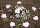 Peace Garden, 6-4-10,2 web
