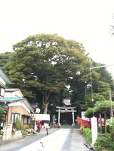 d88f1e58.jpg