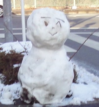 yukidaruma