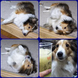 9f083598.png
