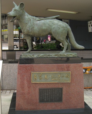 0df56861.jpg