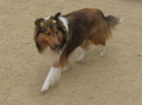 32275d3b.jpg