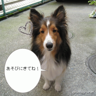 4caa48c0.gif