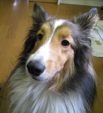 4fd5a774.jpg