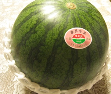 971904b4.jpg