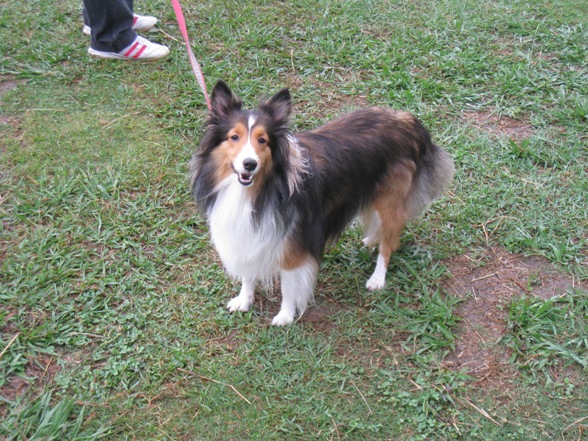 a982c817.jpg