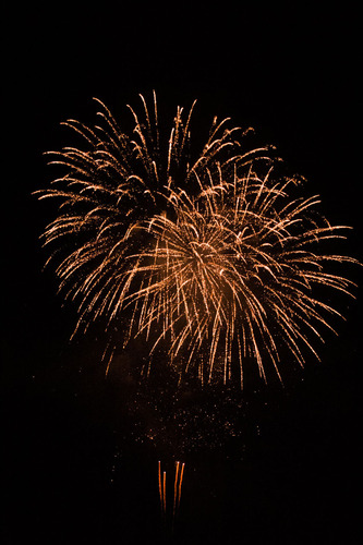 IMG_4494
