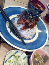 shirasu02