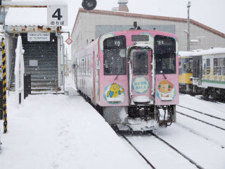 DSCN6614
