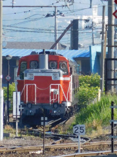 DSCN0913